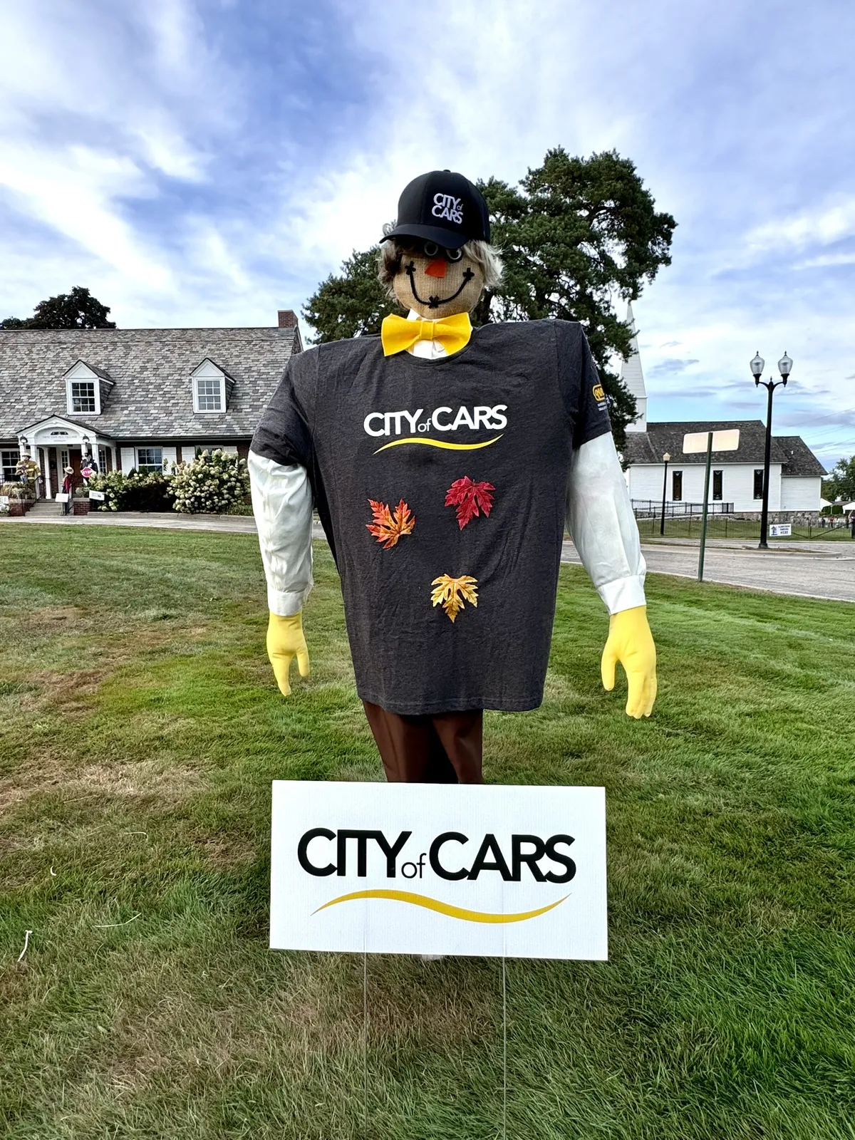 City of Cars